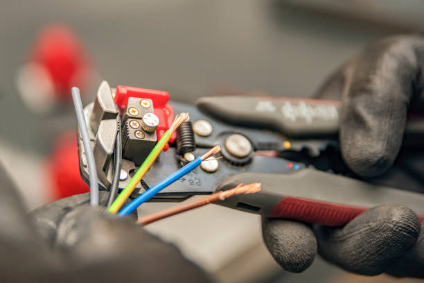Best Electric Panel Repair  in Ladysmith, WI