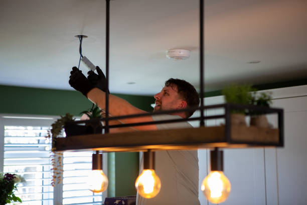 Best Electrician for Home Renovation  in Ladysmith, WI