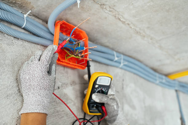 Best Local Electrician Companies  in Ladysmith, WI